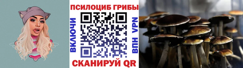 Галлюциногенные грибы мицелий  цена   Нефтекамск 